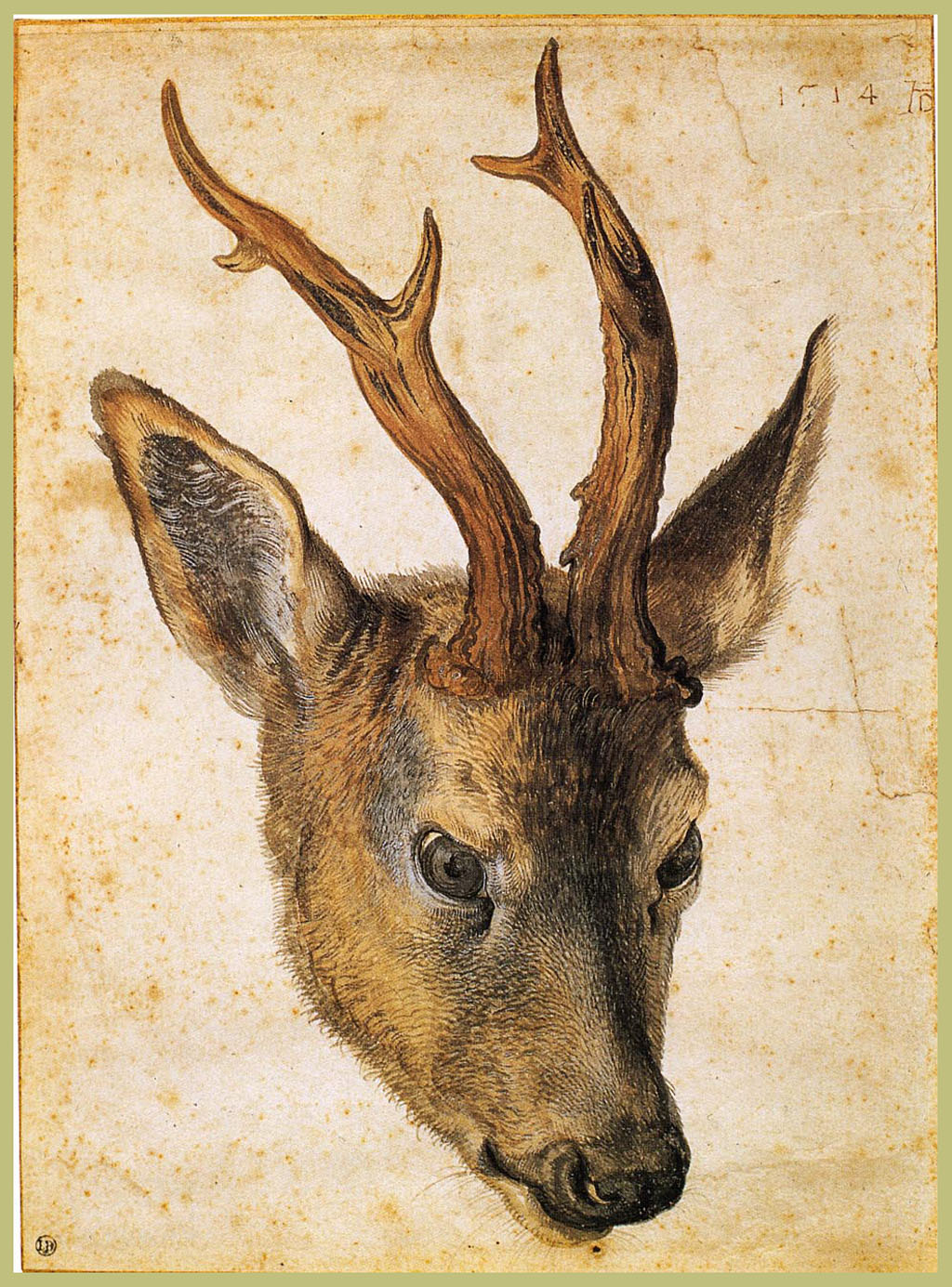 Albrecht+Durer-1471-1528 (74).jpg
